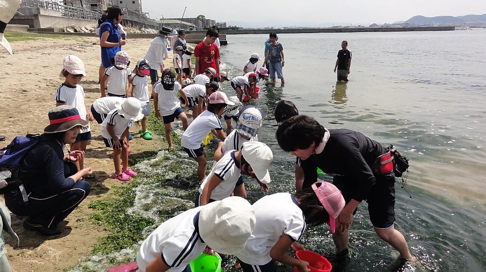 稚魚の放流　in　浦生海岸