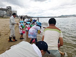 稚魚の放流　in　浦生海岸