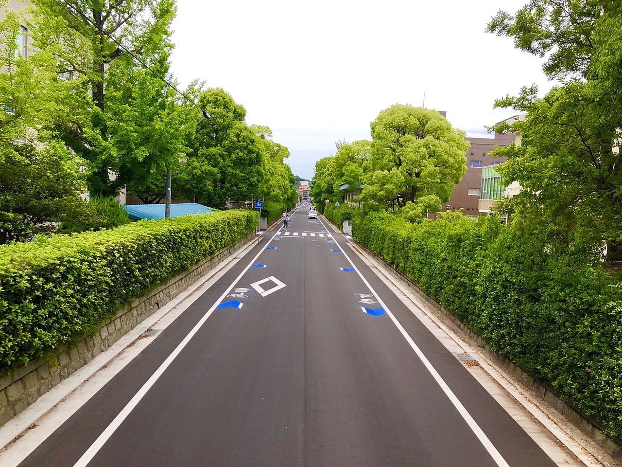 自転車走行帯整備工事