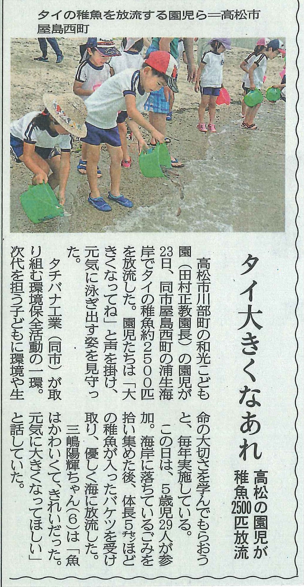 第10回　稚魚放流　in　浦生海岸（続報）