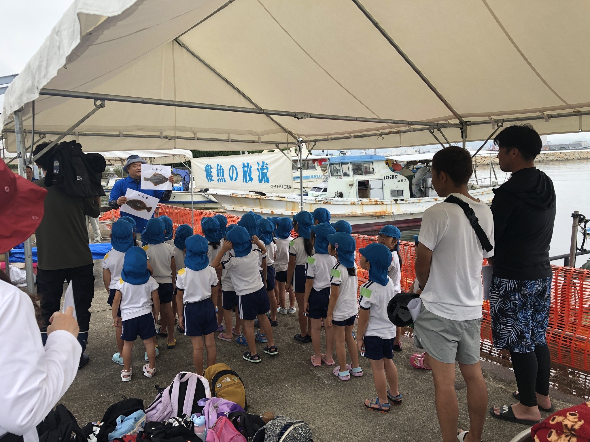 第13回　稚魚放流　in　浦生漁港